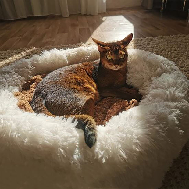 "Super Soft Dog/Cat Bed Plush"