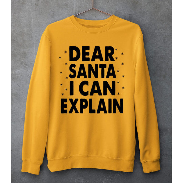 "DEAR SANTA I CAN EXPLAIN"- SWEAT-SHIRT AND HOODIE