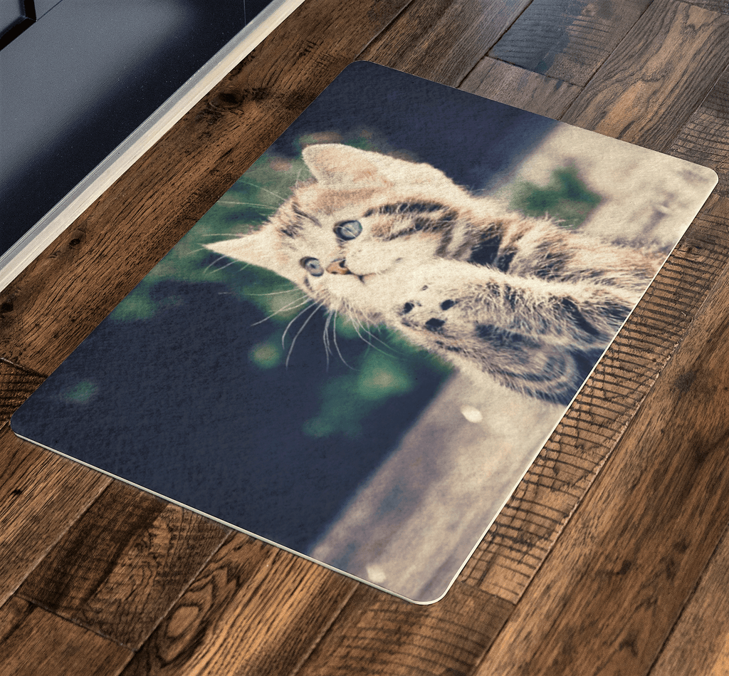 Cute Sweet Cat, Pets Special Doormat For homes Exclusive ( Best price Deal)